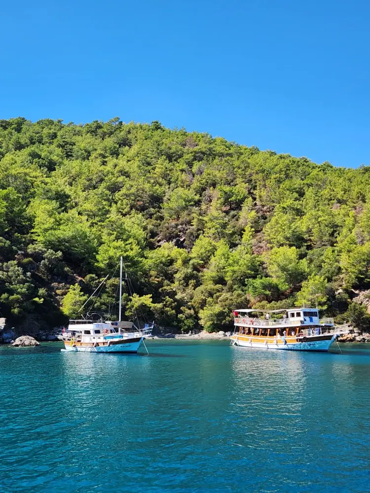 Boat Trips
