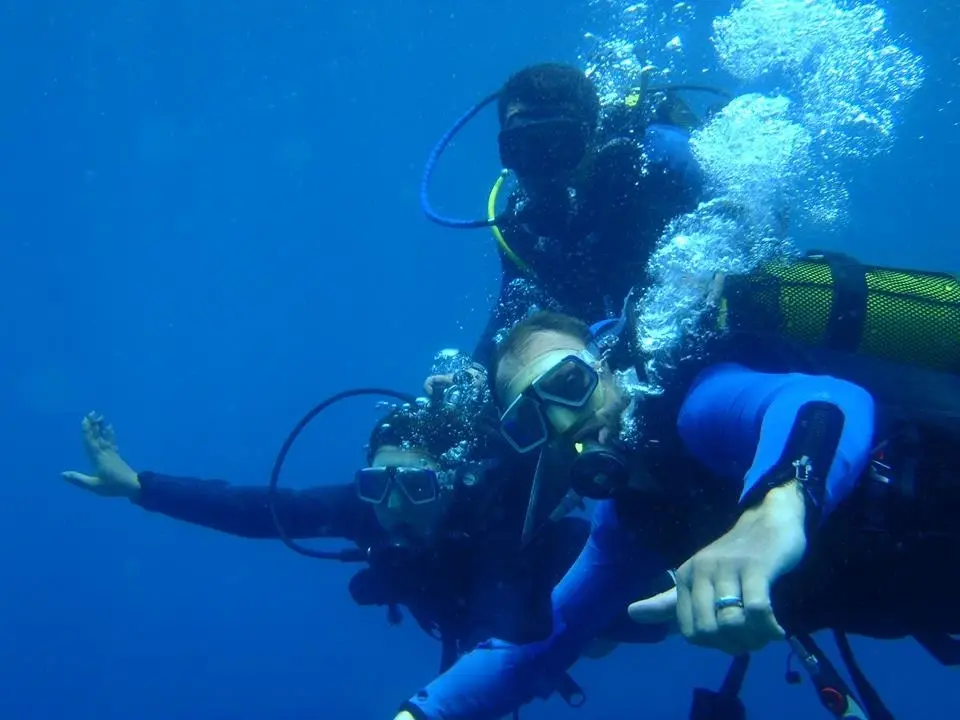 Professional instructors